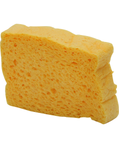 European Sponge